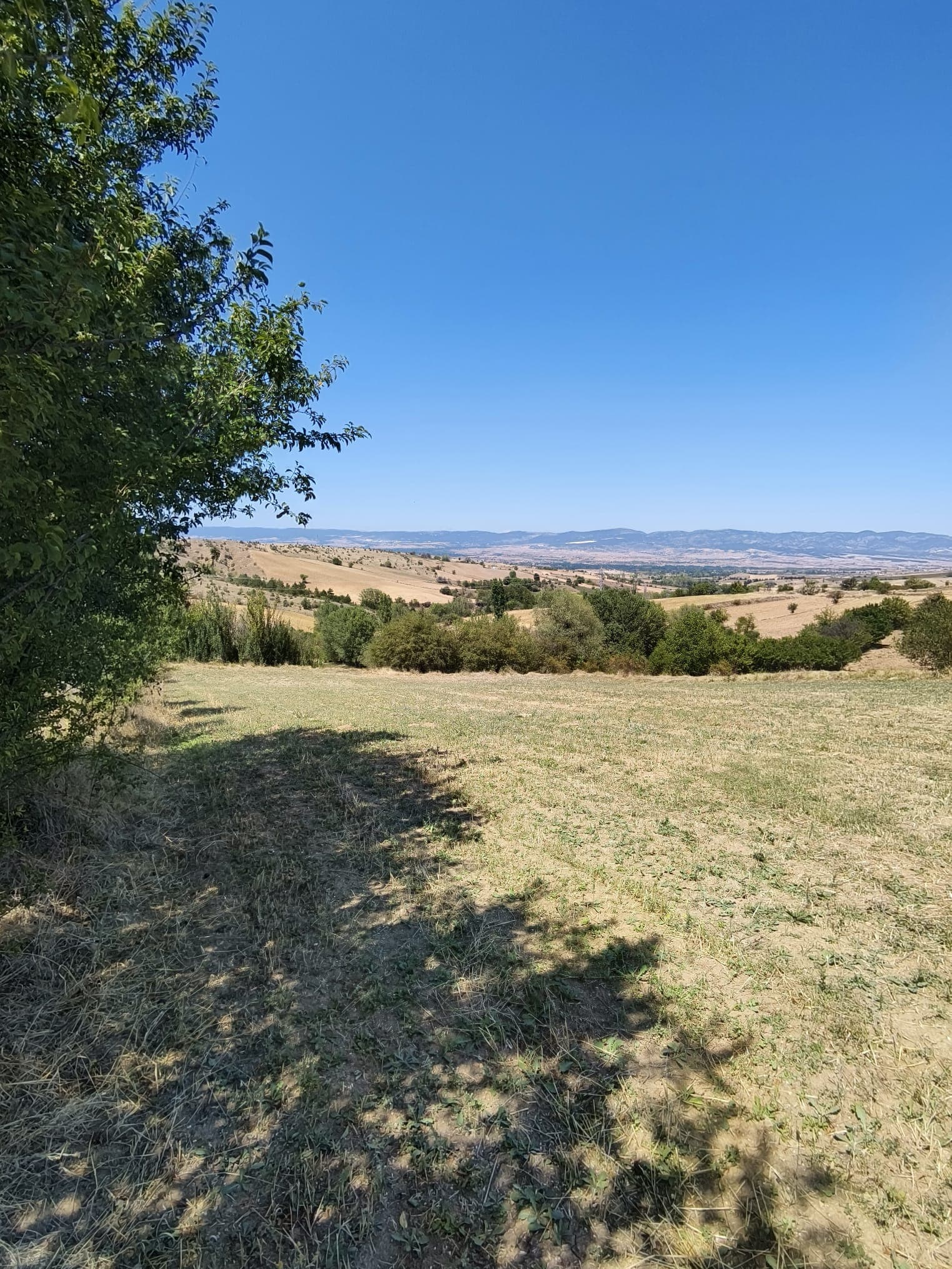 Kastamonu Merkez Aşağıelyakut Köyü’nde 2731 m² Satılık Tarla